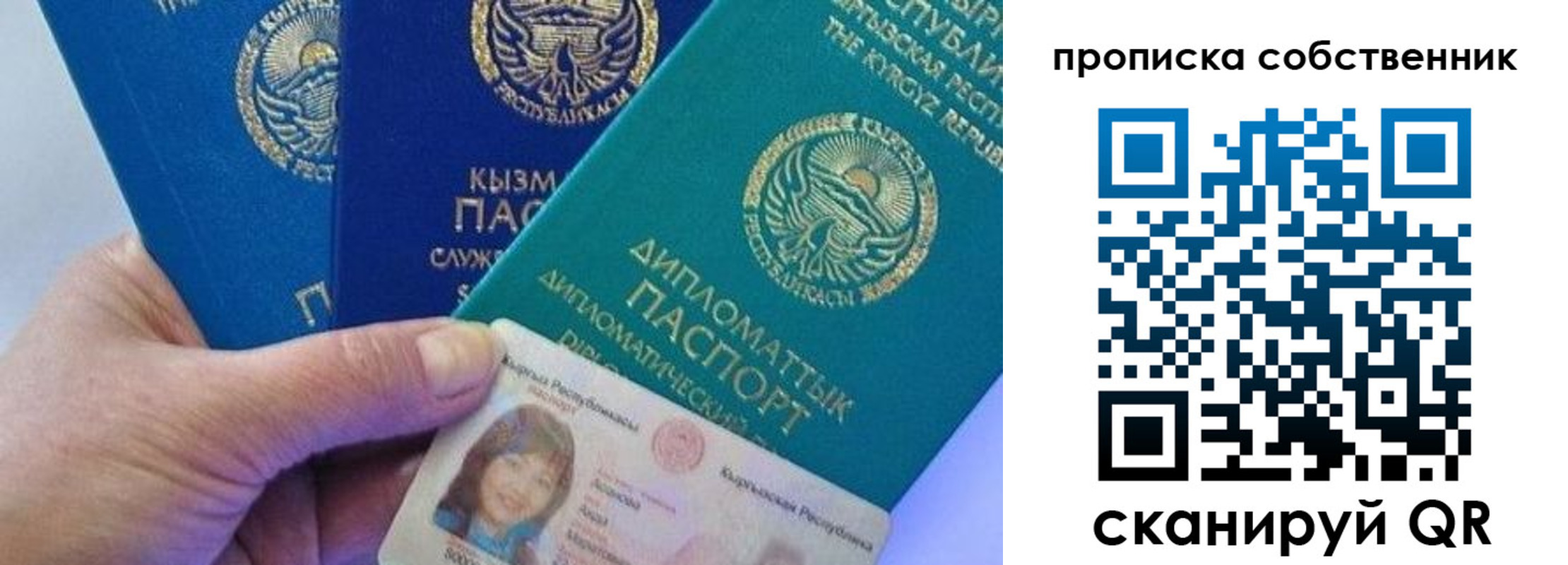 найти адрес прописки в Ельне