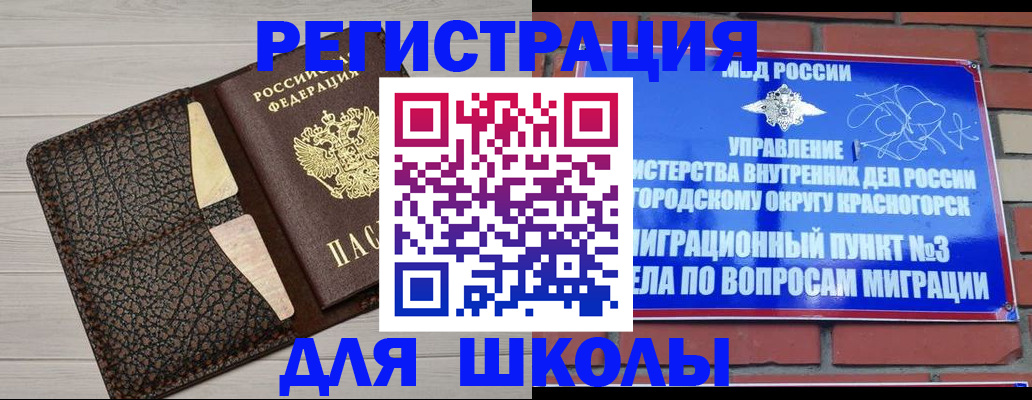 прописка в Ельне